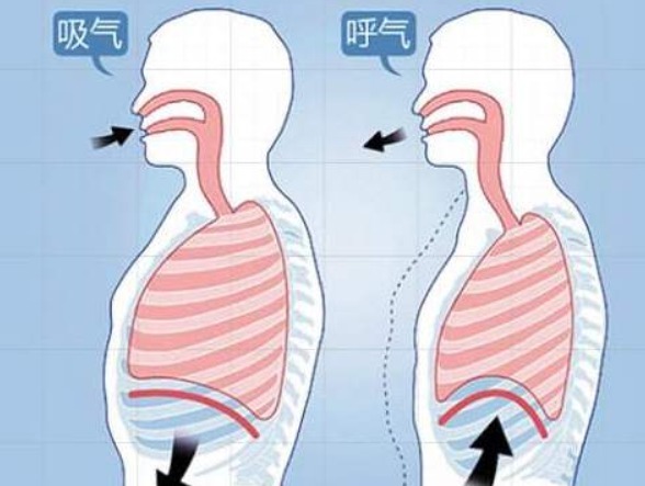 正确的调息方法