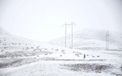  肉圆|大雪节气怎么吃，来碗豆腐肉圆萝卜汤，暖暖一大碗，舒坦