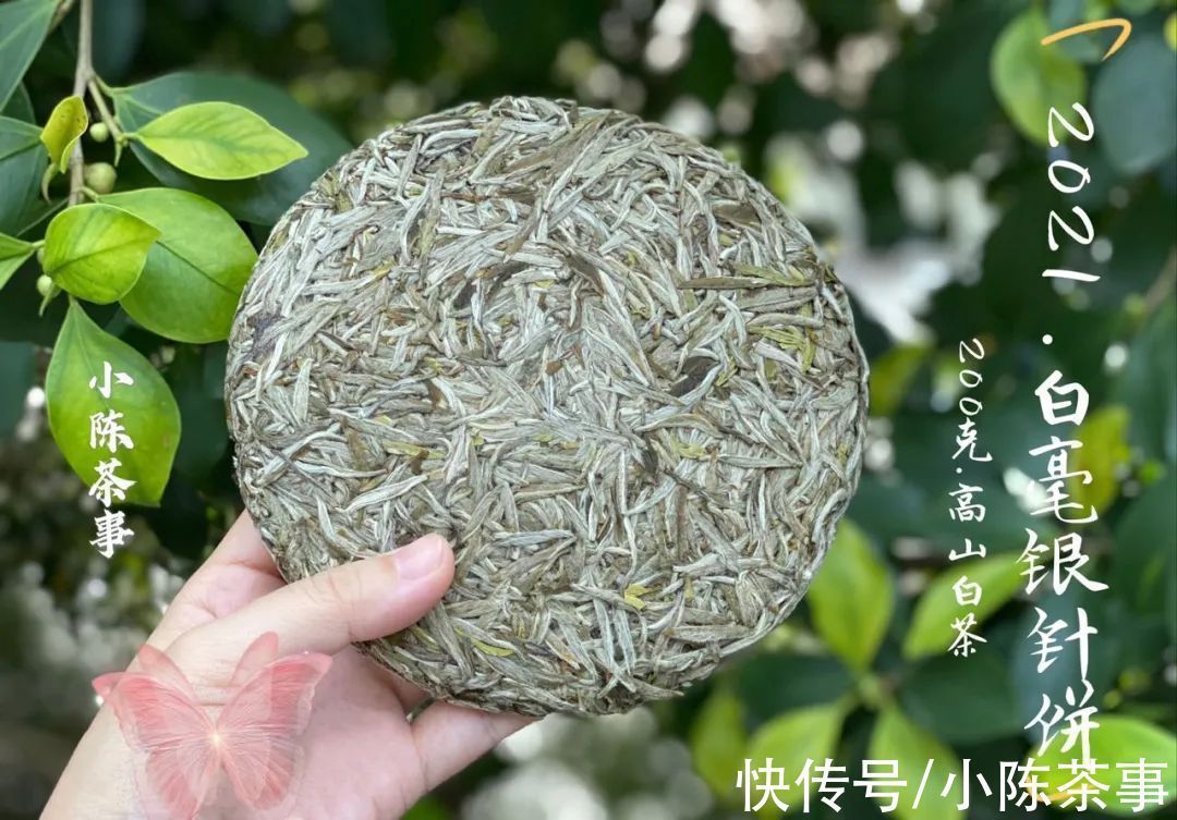 叶底香|毫香、花香、竹叶香,这些香气怎么没在白毫银针开箱的时候闻到?