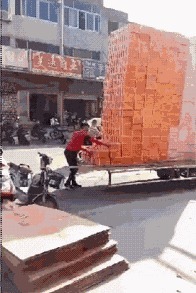 |搞笑GIF:表妹担心有人偷竹子,她每天一个人去后山点数!