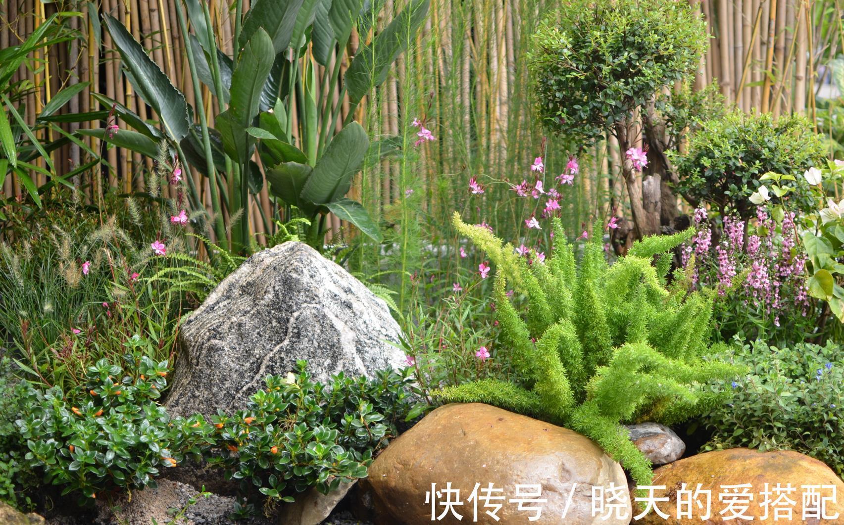 治愈系|小空间庭院花园,正确的绿植搭配技巧,让小院落变身治愈系小花园