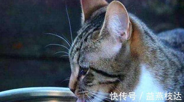 预防血栓|血栓“恐”三种蔬菜,每天吃一种,清理血液垃圾,血管通畅