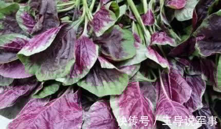 小蛮腰|女性想减肥,不妨多吃三种物,排出湿气,清理肠道,瘦出小蛮腰