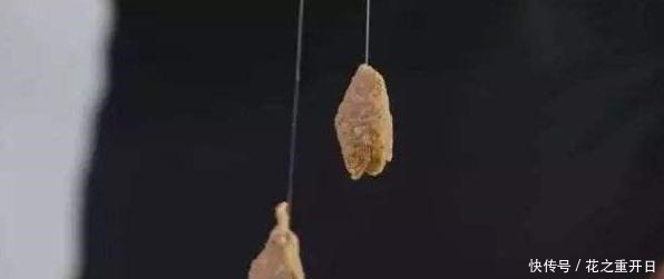 热天钓鱼开饵时用上这5招，不是跟你吹，大鱼看见就狂咬，半天就爆护！