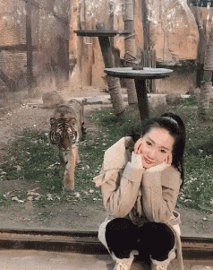 |搞笑GIF:你永远不知道 女生为了减肥对自己有多狠