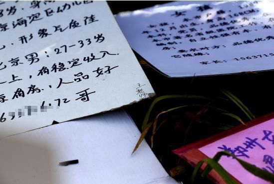 一年相亲30场,我在寻找什么?