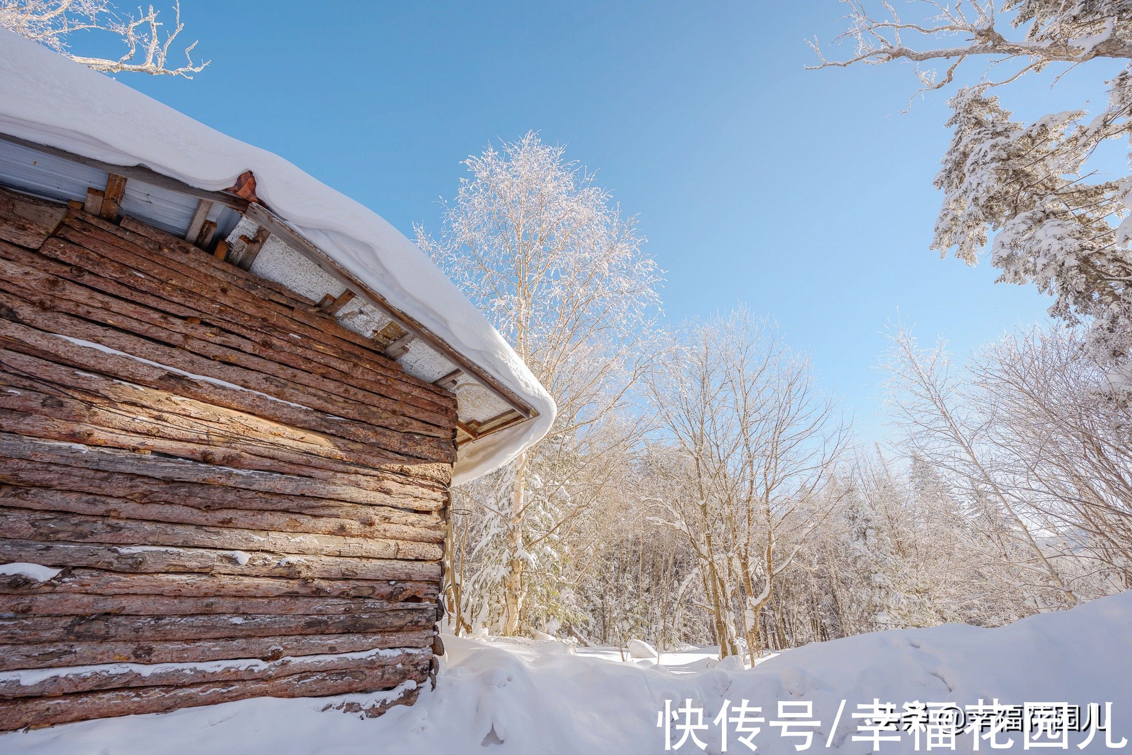 老桥|赏冰、玩雪、看美景，找回儿时过年的味道，就在非常冰雪黑龙江