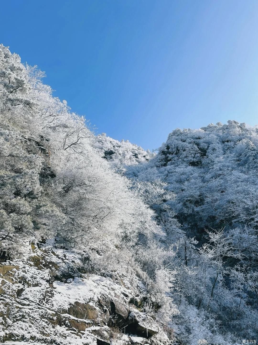 我与探歌的庐山行