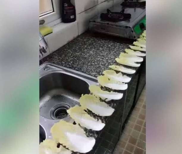 妈妈|小男孩帮妈妈做家务剥大白菜，看到成品妈妈瞬间笑喷了