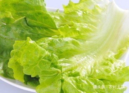 芝麻酱|常吃此菜身体不会差,对爱美的女性来说也是个不错的选择