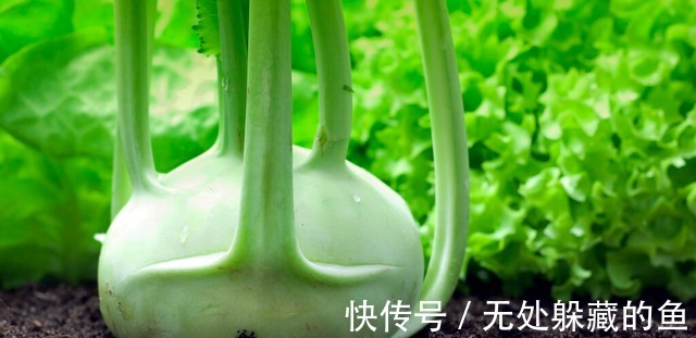 农村腌菜的老方法，一次腌10斤都不够吃，酸甜脆爽比辣椒开胃！