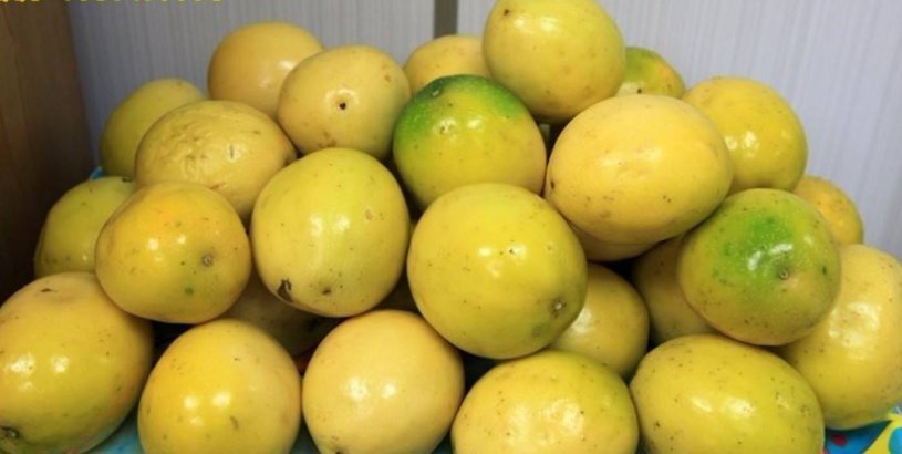 补钙|它被称为“补钙果”,掰开全是籽,卖50元一斤,却少有人吃过