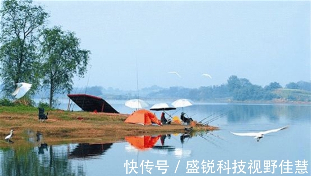 钓鱼|盛夏钓鱼,可以选择这5类地形做钓位,水温低溶氧高,鱼肯定多!