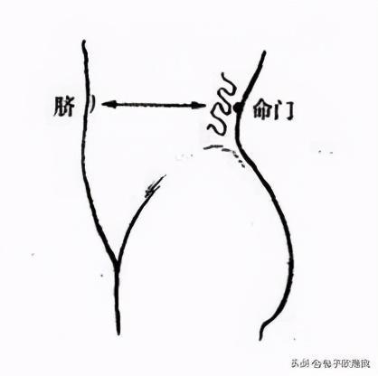 足三里穴|怎么帮助宝宝长高高学会这些,宝宝长高不愁