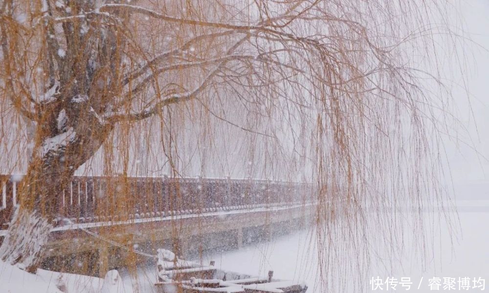 漫天寒凝洗尘襟，大外与你共风雪