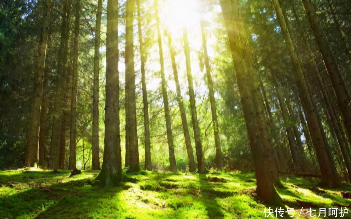 男人欲成大事,不能靠单枪匹马,掌握这四招驭人术,方能少走弯路