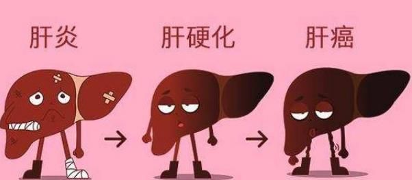 肝脏不好,几种蔬菜买点吃,肝癌绕道走,避开肝硬化和肝炎!