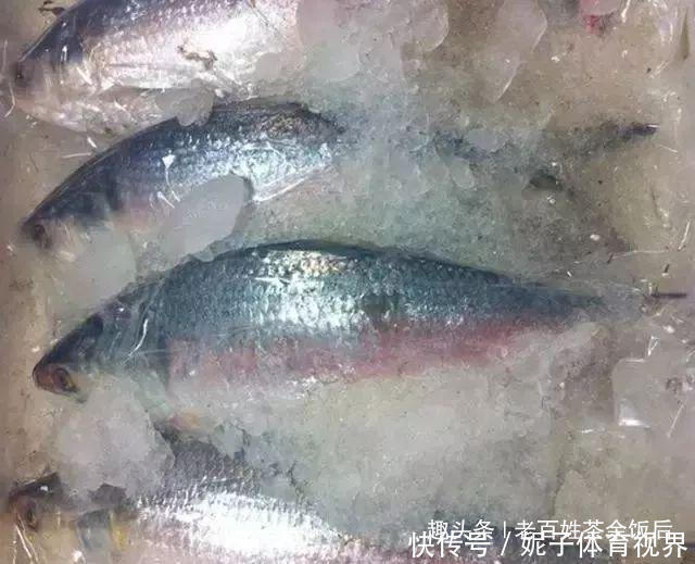 家用电冰箱|不要放在冰箱的四种食物,尤其是最后一种,宁愿扔了也不存冰箱