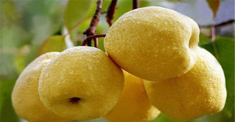  养颜|女性想要变年轻，三种食物要多吃、排毒养颜、好处多多