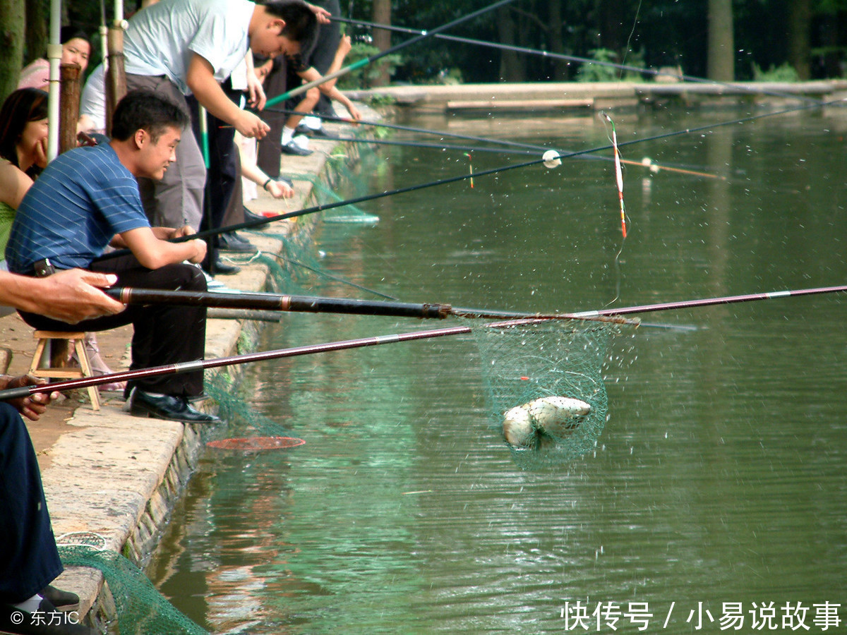 制作发酵玉米粒去钓鱼,进窝全是大鲤鱼、草鱼,效果不会让你失望