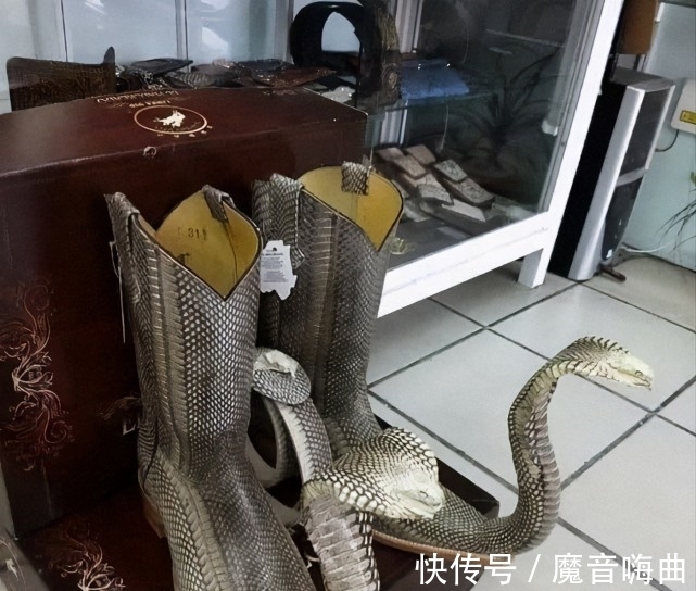 短裤|31个搞怪的奇葩设计，看到第一张图就想报警