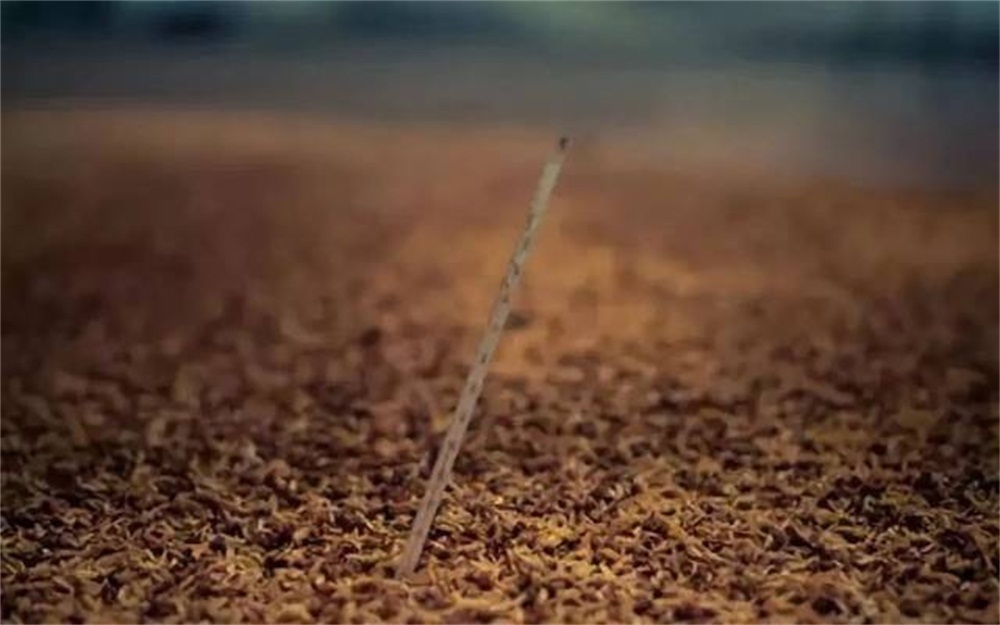 超过36℃|影响出酒率不高的原因主要看这几个方面?