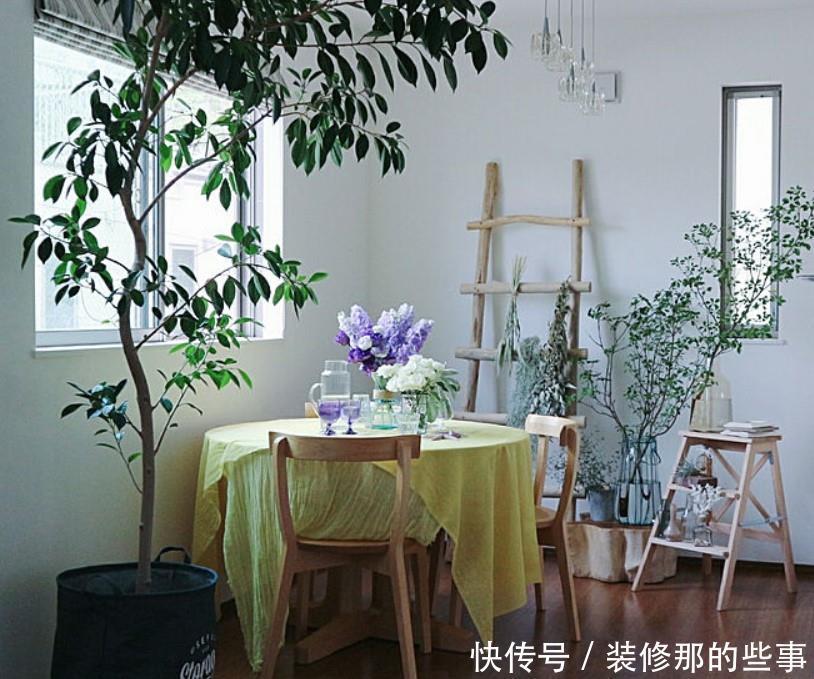 小两口之家,全屋布满绿植鲜花,把生活过成了诗,太美太治愈了
