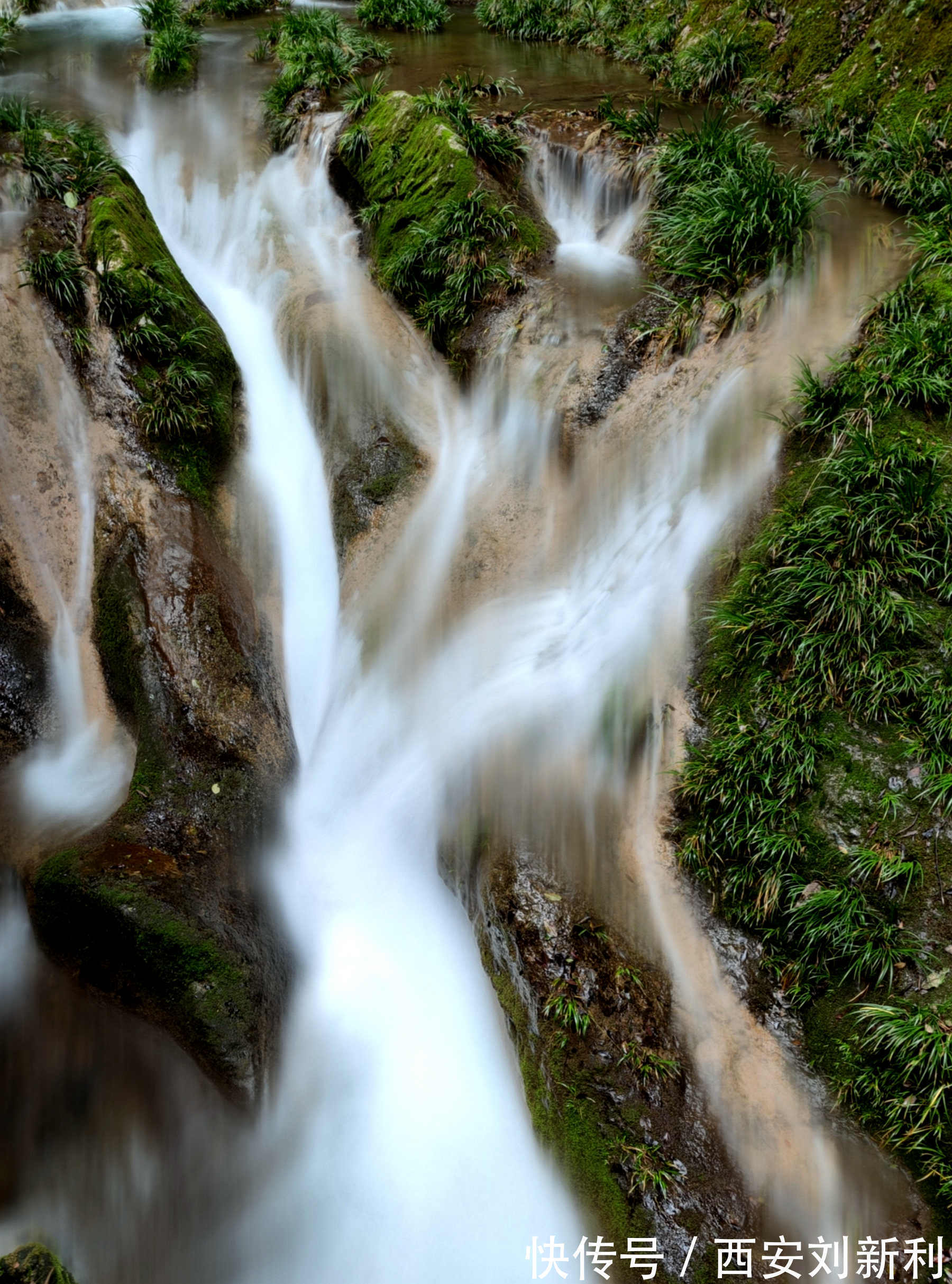 后湾村|赏商南后湾村 阳城驿 金丝峡美景 品鉴泉茗茶宴 商南小吃宴 金丝十三花