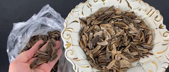 花盆里加这些东西,再也不怕花卉烂根黄叶了