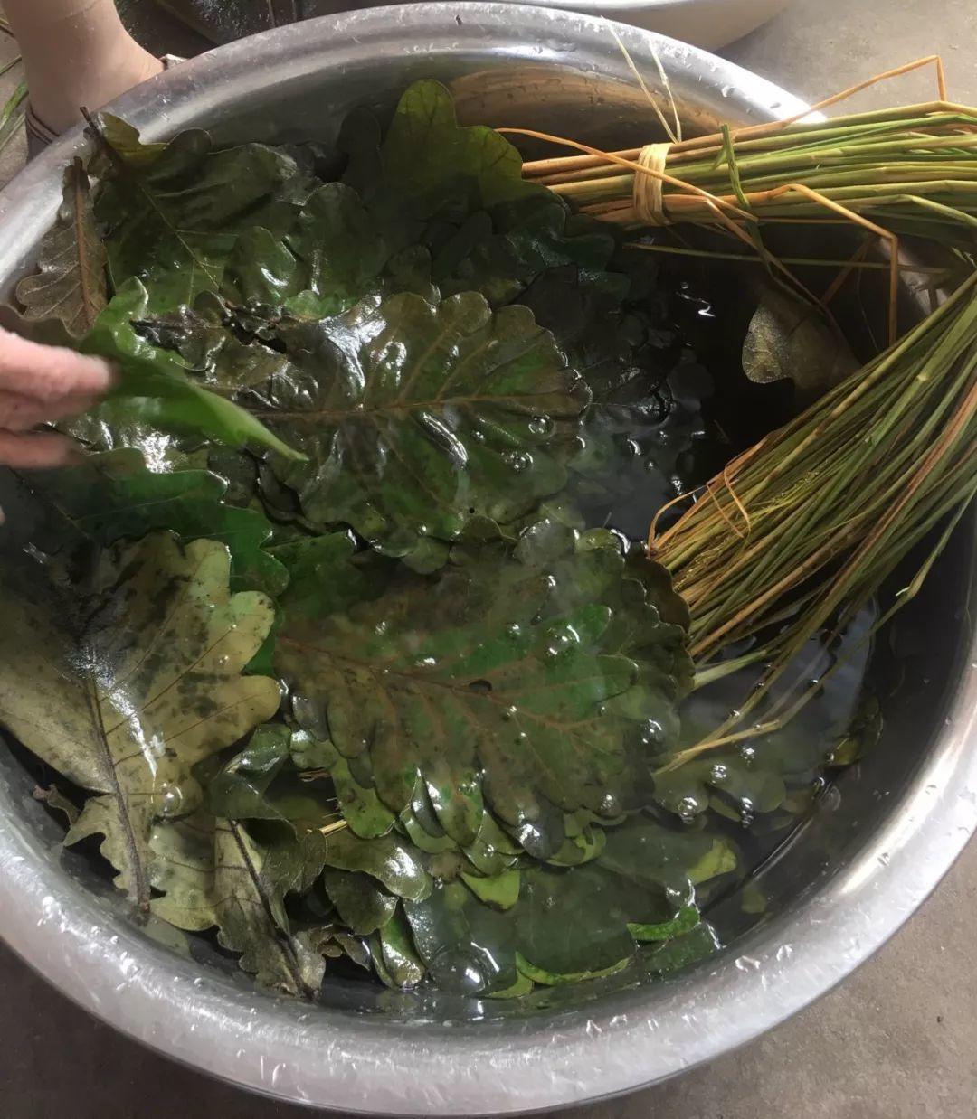 叶子|7种叶子,适合包粽子,操作方便还有竹香!