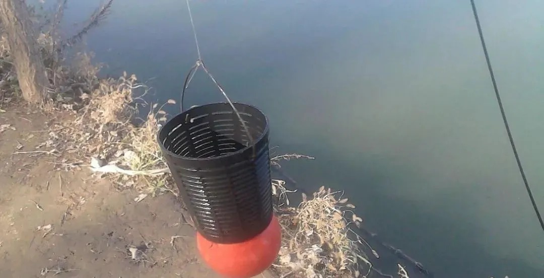秋季钓鱼如何打一个“够劲”的窝?其实很简单,但很多钓手不去做
