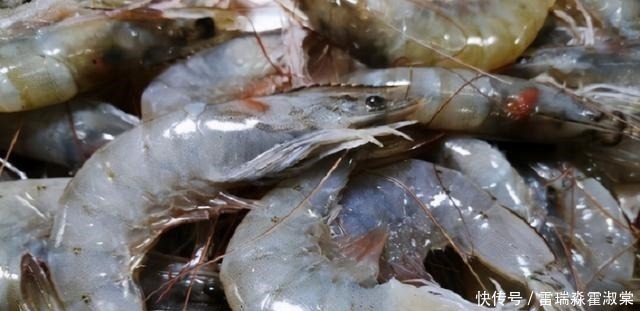 矿泉水瓶|保存鲜虾，直接塞冰箱是大错特错！多加1步，半年都鲜美不发黑
