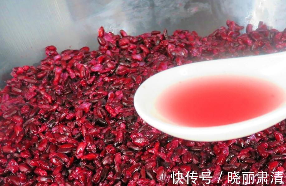 黑米酒酿|天冷了,少吃柿子多吃它,一次做好存冰箱,随吃随取,特省事