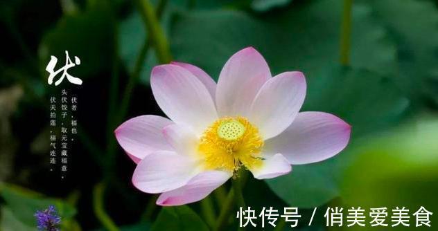 头伏|2021年的三伏天从啥时候开始？到哪天结束？共多少天？快来看看