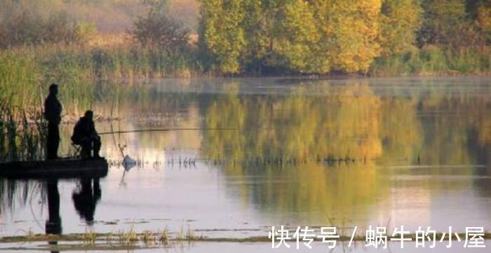 鱼类|野钓鲤鱼要注意什么