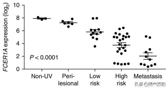 ige|人人逃不开的过敏,竟然还与癌症有关