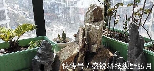 鱼池|偷偷在阳台砖砌鱼池, 邻居来玩, 去物业把我投诉了