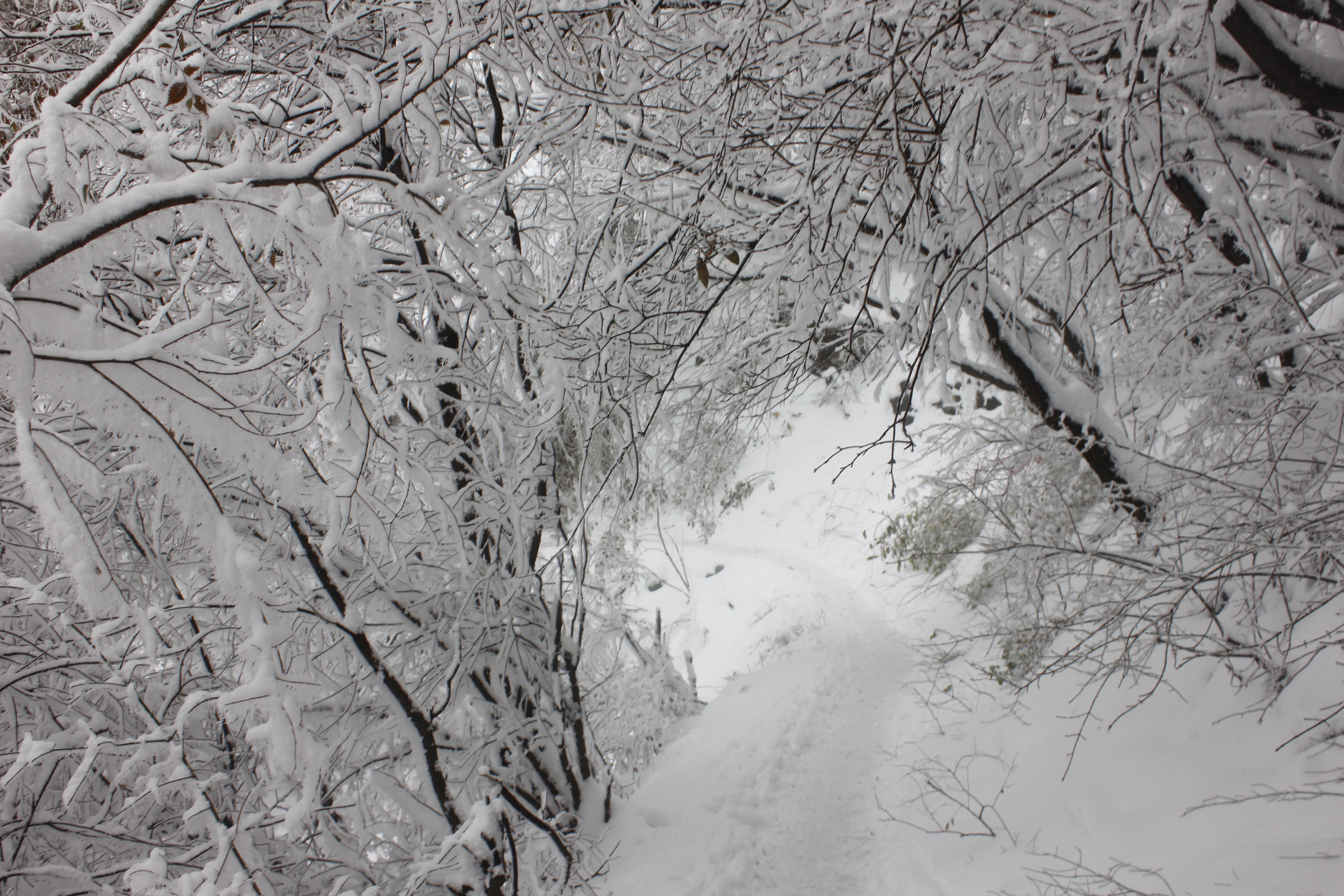 征集|【年末福利征集】雪后南五台幸遇云海