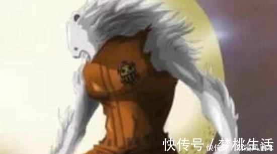 杰克|海贼王 5只月亮狮子帅气, 佩德罗霸气, 加洛特高冷, 猫蝮蛇肥壮
