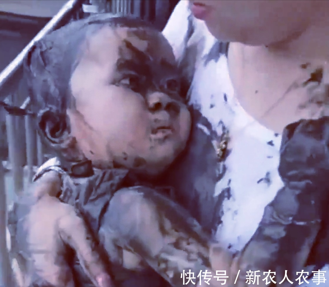 四川|四川一萌娃闹出了笑话,掉进泥潭秒变泥人,爸爸的反应亮了