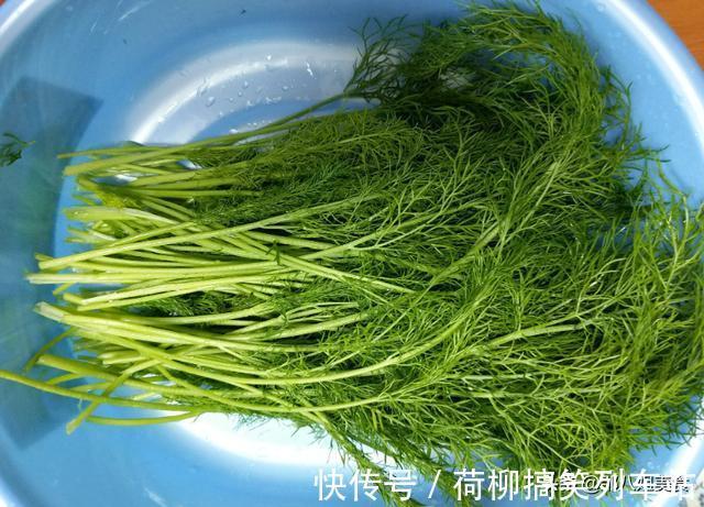 味美|包饺子用这个菜,比韭菜香味还浓,拌饺子馅鲜香味美,回味无穷