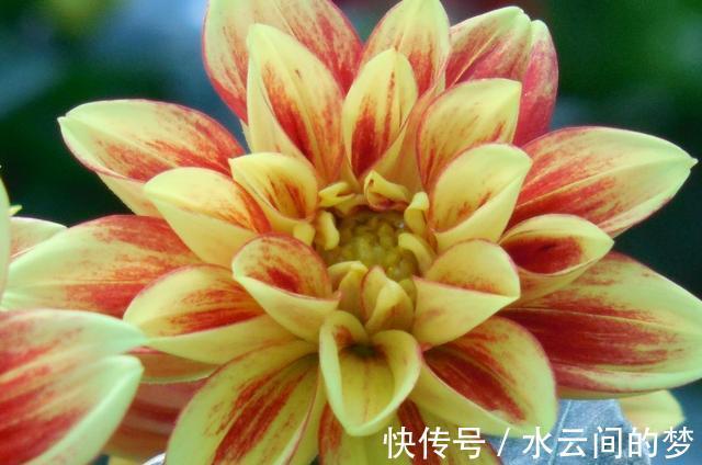 桃花|8月桃花旺盛，姻缘从天而降，回首往事，旧情复燃