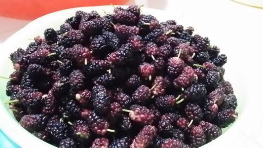 水果|女性不想老得快,脸上爬满皱纹,3种水果可美容,第3种很少人吃