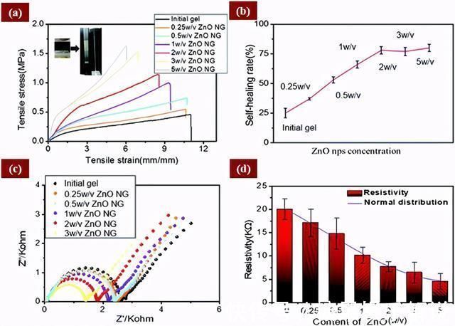 自愈|双网络水凝胶!超强自愈、保水、抗菌、粘附,专为透皮贴剂设计