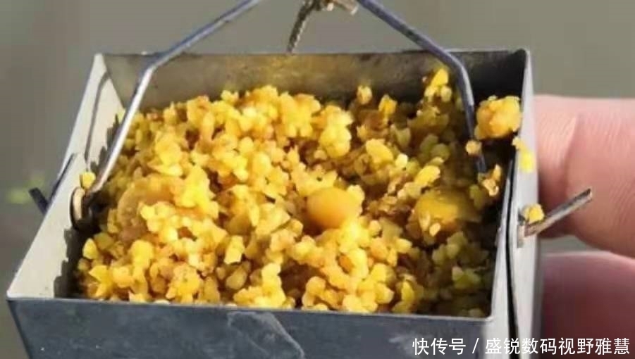 野钓板鲫从不打窝，照样连竿上鱼，学会这些“神操作”，你也可以