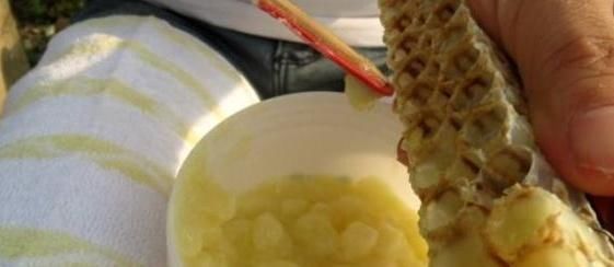 桃胶|女人别太节俭4种“零食”要多吃,美白养颜,延缓衰老更年轻