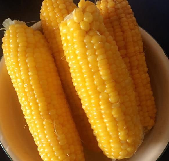 土豆|4种不“发胖”的主食,肥哥胖妹们再不用节食减肥啦