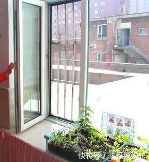 烂根|夏天养花,别做几种“险事”,避免养一盆烂一盆