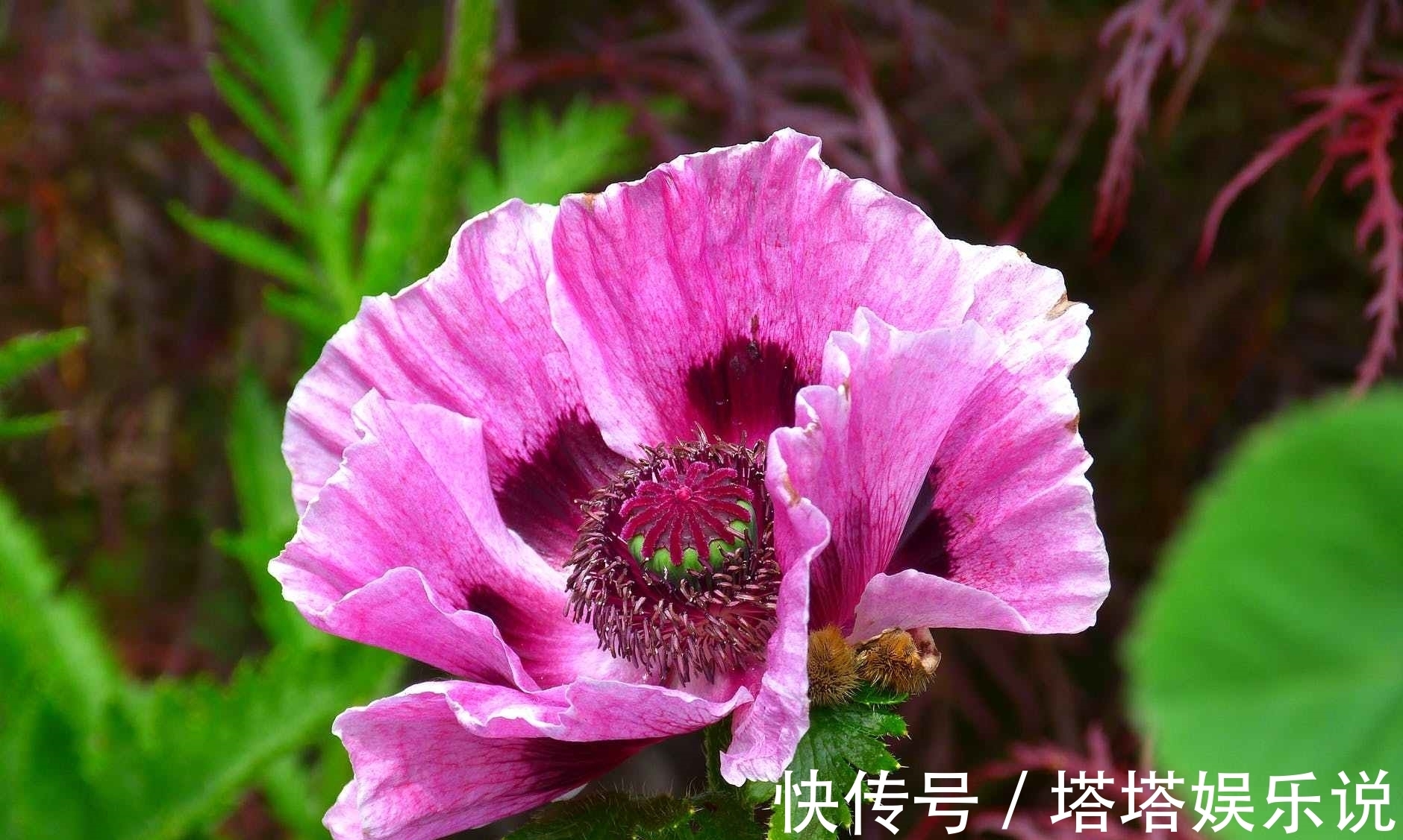 负重|世事无常，人穷别说话，位卑莫劝人