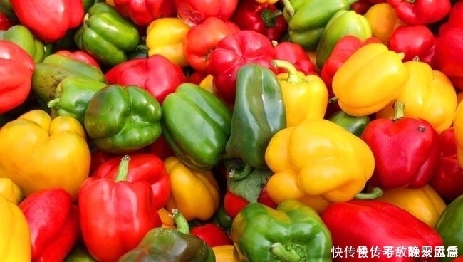 夏天|茄子和它才是绝配夏天这样吃茄子,清除血管垃圾为家人收藏